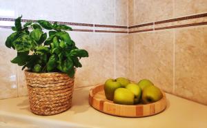 Fotografie z fotogalerie ubytování Apartment Soline v destinaci Pješčana Uvala