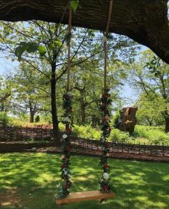 A garden outside Baresha Agroturizem