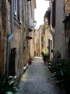 un callejón en un casco antiguo con edificios y plantas en Maison Dina en Collepardo