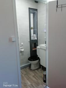 La salle de bains est pourvue de toilettes, d'un lavabo et d'un miroir. dans l'établissement Confort et Élégance dans le Bouchon de Champagne, à Troyes