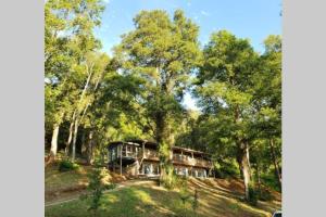 LA CASA EN EL BOSQUE con vista al Río