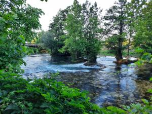 a river with trees on the side of it at Babalina's Place in Bihać