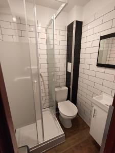 a bathroom with a toilet and a glass shower at Park Hotelik II Piętro in Mielno +72 photos