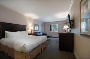 um quarto de hotel com uma cama e uma televisão de ecrã plano em Prestige Inn Nelson em Nelson