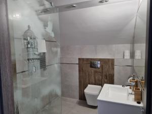 a bathroom with a toilet and a sink at PENSJONAT SUNRISE Fishing,Kajaks,Tretboote Grill Gratis in Świnoujście +118 photos