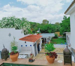 A garden outside Casa Bakara
