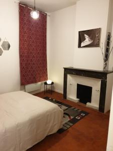 a bedroom with a bed and a fireplace at Appartement Picasso centre historique Perpignan in Perpignan