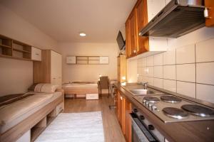 a kitchen with a sink and a bed in a room at MARIBOR CITY CENTER MINIDORM APARTMENT in Maribor