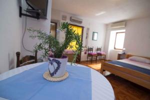 Galeriebild der Unterkunft Studio in Veli Losinj 36920 in Veli Lošinj