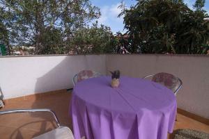 Galeriebild der Unterkunft Studio in Veli Losinj 36920 in Veli Lošinj