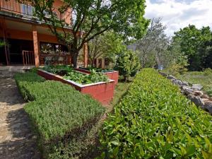 Fotografie z fotogalerie ubytování Apartment Seline/Paklenica Riviera 36581 v destinaci Seline