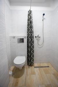 a bathroom with a toilet and a shower at Planeta in Ustronie Morskie