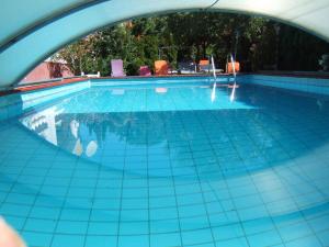 una piscina con suelo de baldosa azul y una ventana en Apartment in Badacsony - Balaton 18014, en Badacsony 13 fotos más
