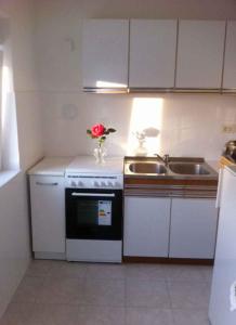 Kuchyňa alebo kuchynka v ubytovaní Apartment in Lopar - Insel Rab 36121