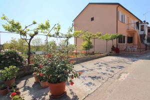 Zahrada ubytování Apartment in Porec - Istrien 34560