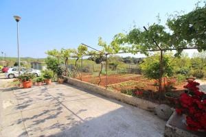 Zahrada ubytování Apartment in Porec - Istrien 34560