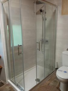 a shower stall in a bathroom with a toilet at Casa la ti María la viuda in Riego de Lomba