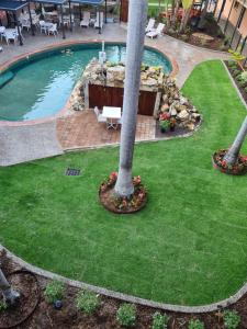 a pool with a palm tree in a yard at Alatai Holiday Apartments in Darwin