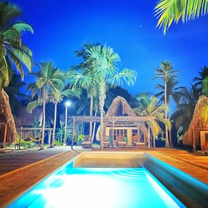 a swimming pool in front of a house with palm trees at Isla Fuerte - Wiji Island House in Puerto Limón