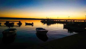 Fotografie z fotogalerie ubytování Apartments in Starigrad-Paklenica 6882 v destinaci Starigrad-Paklenica