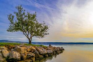 Fotografie z fotogalerie ubytování Apartments in Starigrad-Paklenica 6882 v destinaci Starigrad-Paklenica
