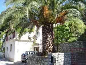 Fotografie z fotogalerie ubytování Apartments in Mali Losinj 14951 v destinaci Mali Lošinj