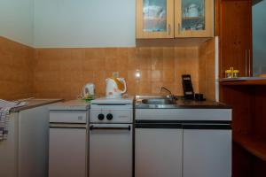 Kuchyň nebo kuchyňský kout v ubytování Apartment Margarita