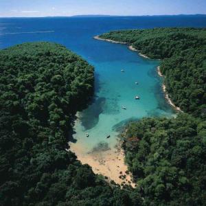an aerial view of a beach with trees and water at Apartment in Rab/Insel Rab 16489 in Palit