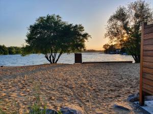 a sandy beach with trees and a body of water at Bagry Rooms in Krakow