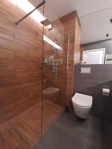 łazienka z przeszkloną kabiną prysznicową i toaletą w obiekcie Apartamenty Marzeń w Grzybowie +32 zdjęcia