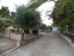 Φωτογραφία από το άλμπουμ του Peter's Village στο Καλαμάκι Μεσσηνίας +37 φωτογραφίες