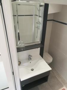 a bathroom with a sink and a mirror and a toilet at LODGE EXTERIEUR 2 PERSONNES (possibilité toile de tente en plus pour efants avec futon) in Saint-Aubin-sur-Gaillon