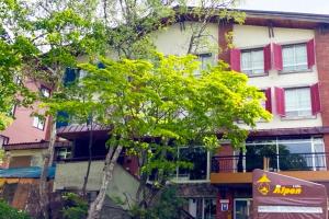 un edificio de apartamentos con un árbol delante de él en Villa Alpen, en Yamanouchi