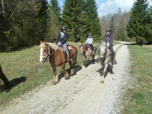 3 Leute reiten auf einer unbefestigten Straße auf Pferden in der Unterkunft Auberge Le Sillet in Longcochon