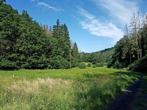 a grassy field with trees on the side of a road at Ferienwohnung Jansen "Eins" in Bad Schwalbach