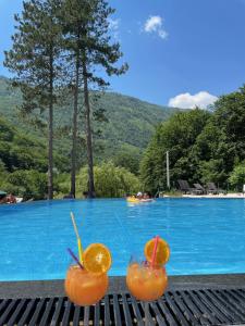 Piscina en o cerca de Vila Sunce Village Resort Konjic