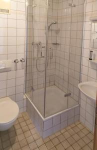 een badkamer met een douche en een toilet bij Pension Schneider, Ferienwohnung in Bad Gögging