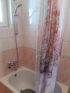 Koupelna v ubytování Apartman Alberta