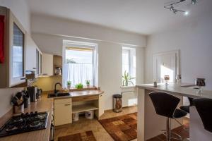 Kuchyňa alebo kuchynka v ubytovaní Luxury Air-conditioned Family Apartment Špitálska Old Town