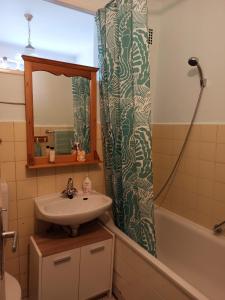 een badkamer met een wastafel en een douchegordijn bij Sybel in Berlijn +9 foto's