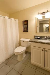 La salle de bains est pourvue de toilettes, d'un lavabo et d'un miroir. dans l'établissement Austria Hof Lodge, à Mammoth Lakes