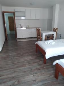 Kuchyň nebo kuchyňský kout v ubytování Guest house Erdan