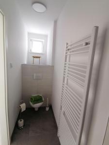 a small bathroom with a toilet and a window at Zum Hofgassl Haus Flo in Mörbisch am See