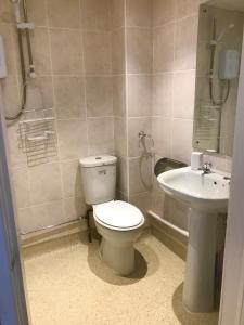 a bathroom with a toilet and a sink at The Annexe in Waltham