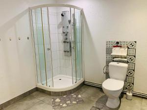 ein Bad mit einer Dusche und einem WC in der Unterkunft Apartament Rodzinny z ogrodem in Cieszyn