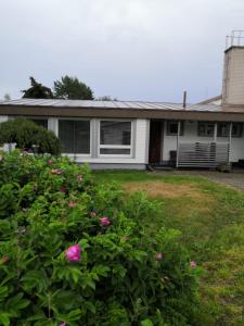 a house with pink flowers in front of it at RBA RentHouse Apartment 3 in Nedervetil