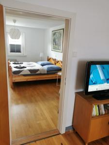 een slaapkamer met een bed en een televisie. bij Gästehaus Domänenblick in Morschen