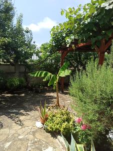 Zahrada ubytování Room for two in House of relax Ahtopol