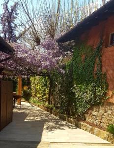 A garden outside Mulino dell'Abbazia Country Resort