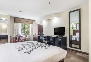a hotel room with a bed and a desk and a television at Sleep Inn Austintown - Youngstown, West in Austintown